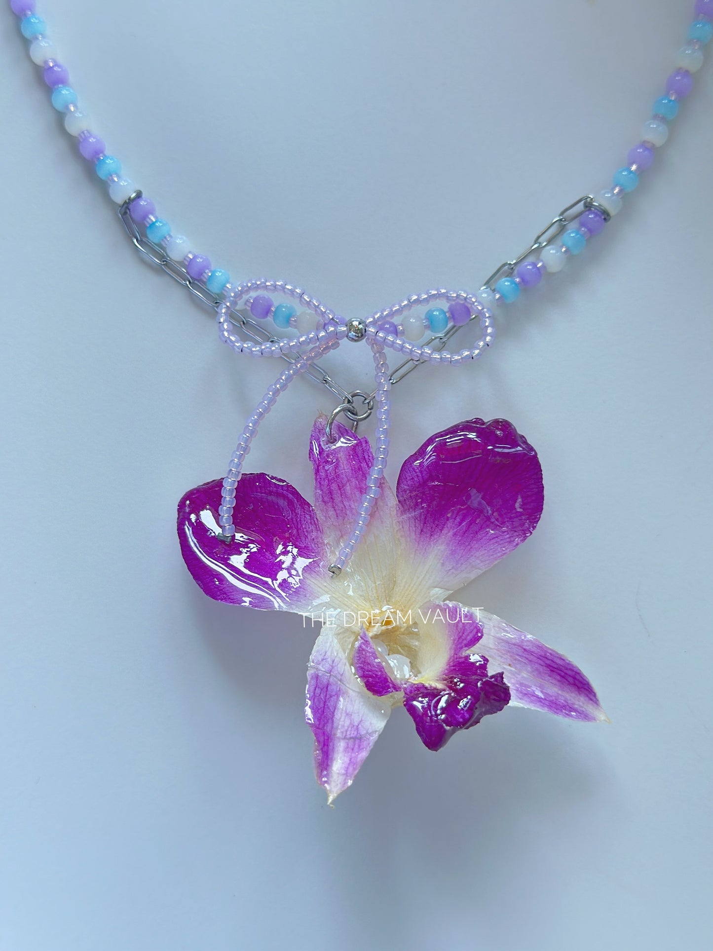 Dreamweaver Orchid