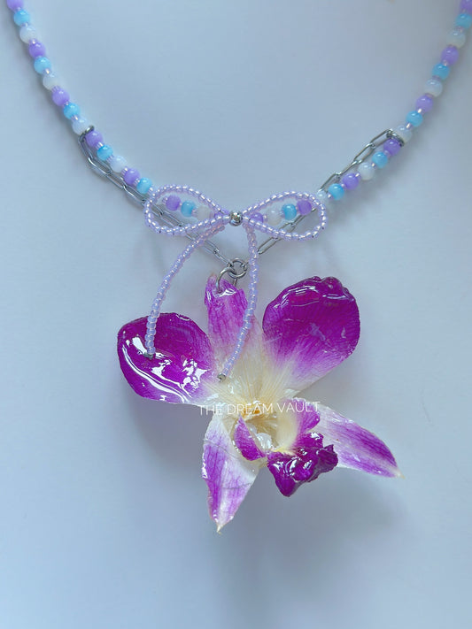 Dreamweaver Orchid